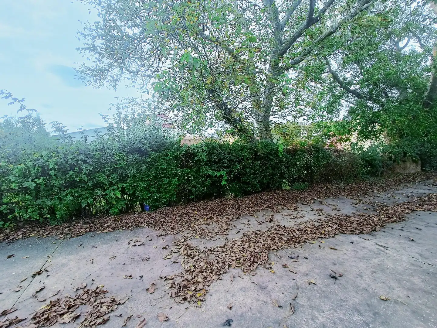 Wohnbaugrundstück zum Verkauf in Calle CACHAN-VR, imagen 21