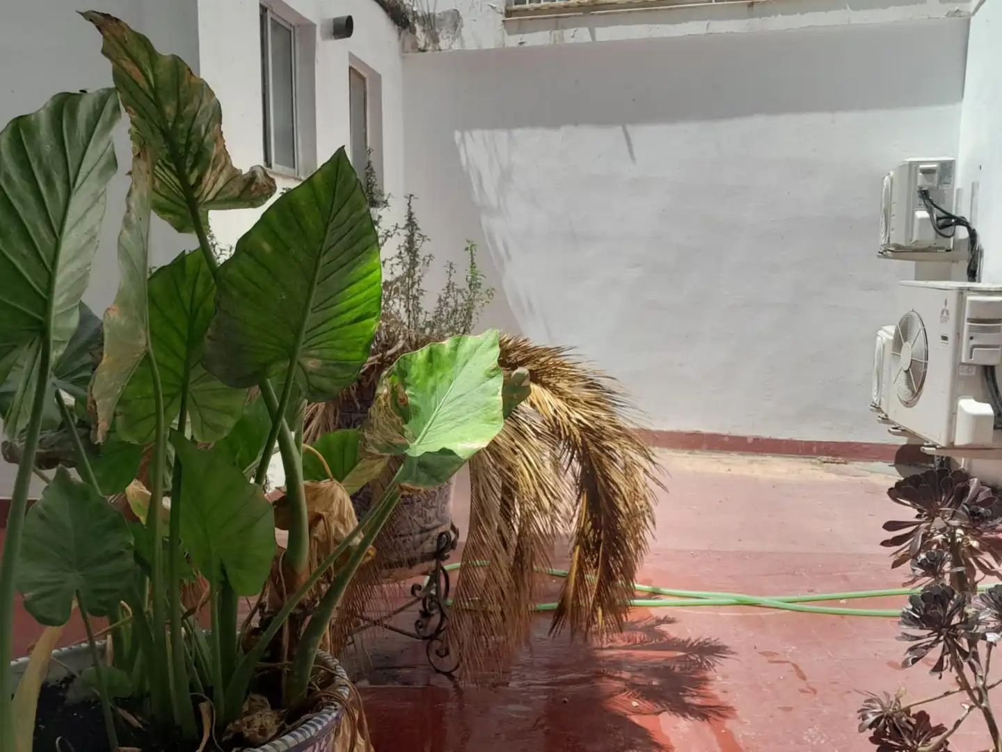 Garden of Office for rent in Jerez de la Frontera  with Air Conditioner