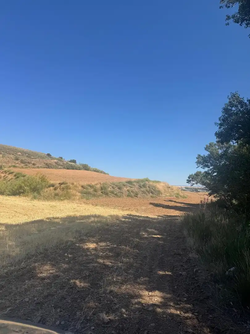 Terreny rústic en venda a Los Santos de la Humosa, imagen 5