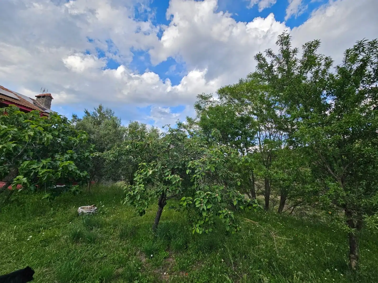 Houses for sale in Torremocha de Jarama  with Heating, Private garden and Terrace