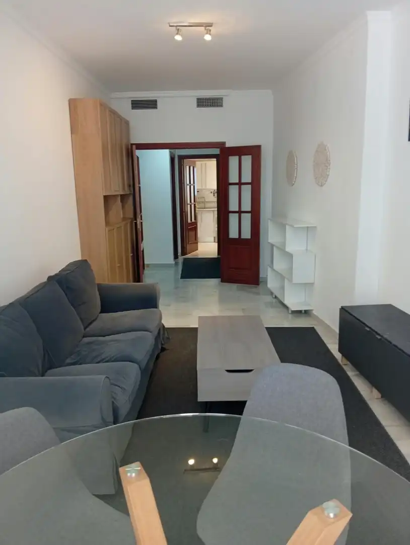 Living room of Flat for rent in Centro