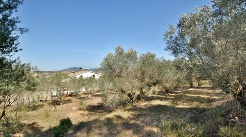 Photo 2 of Houses for sale in Sant Andreu de la Barca, Barcelona