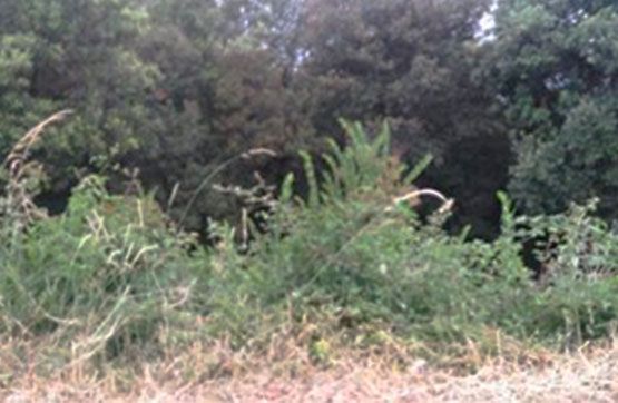 Residential for sale in Bigues i Riells
