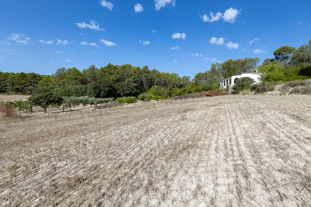 Casa rustica con giardino in vendita a Algaida, imagen 44