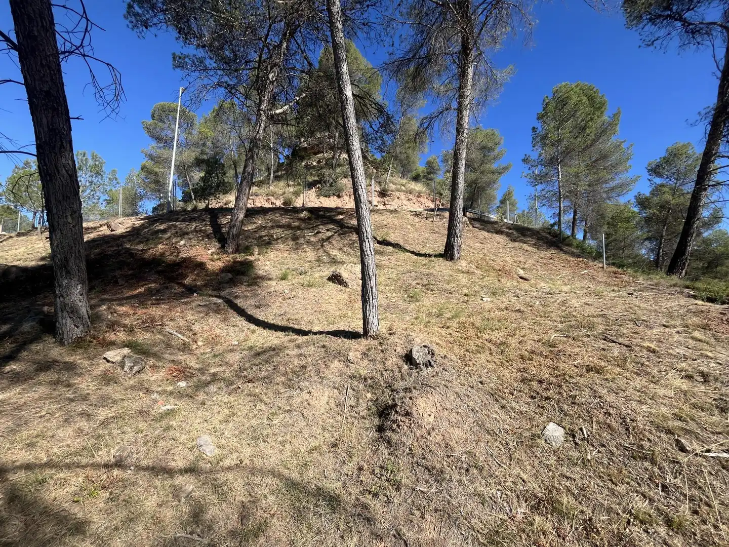 Wohnbaugrundstück zum Verkauf in del Boso 5, imagen 7