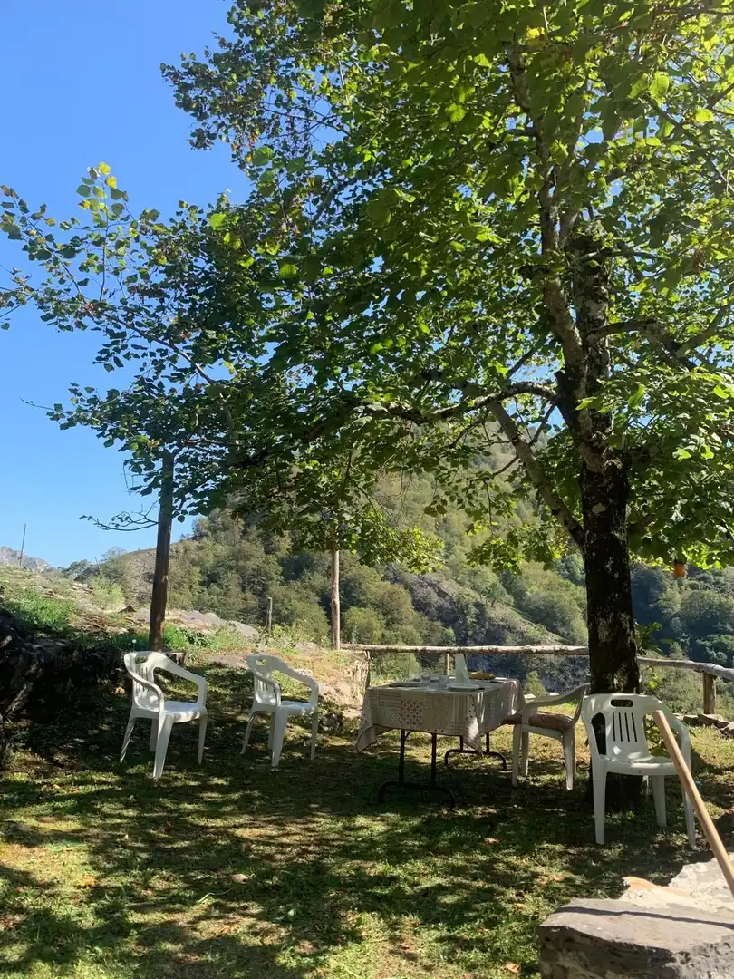 Garden of Houses for sale in Ponga