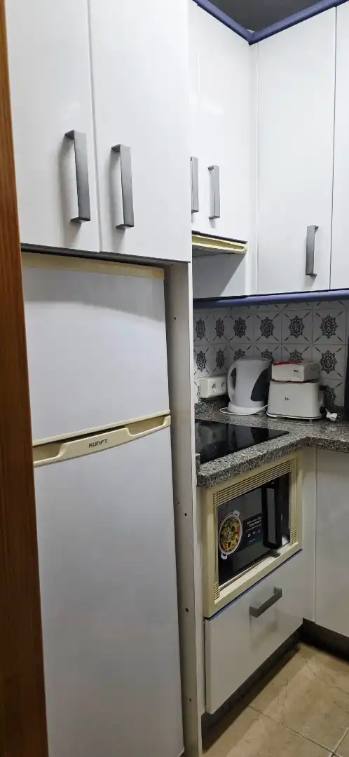 Kitchen of Apartments for rent in Torrox  with Air Conditioner, Heating and Furnished