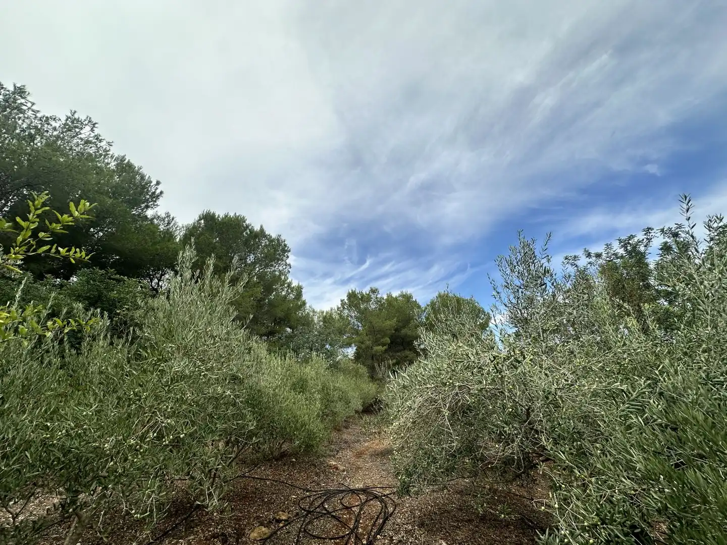 Xalet amb piscina en venda a Algar de Palància, imagen 40