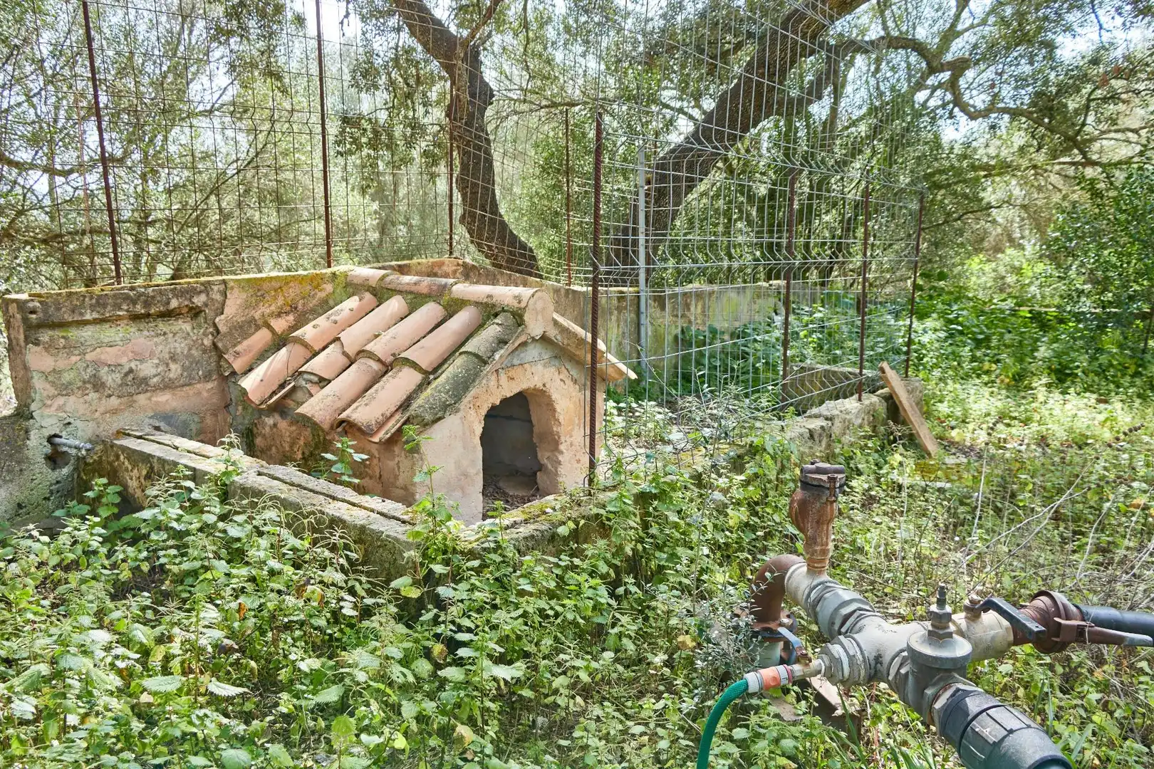 Casa rústica amb piscina en venda a Llucmajor pueblo, imagen 56