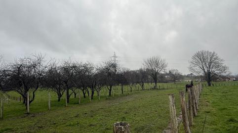 Photo 3 of Residential for sale in Nava, Asturias