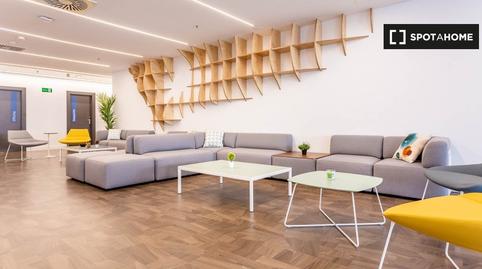 Photo 5 of Apartment to share in Sector Sur  - La Palmera - Reina Mercedes,  Sevilla Capital