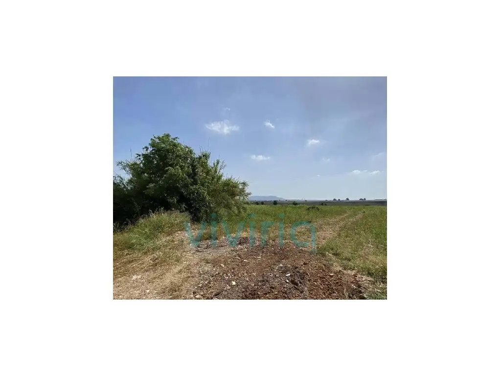 Residential land for sale in Poligono Numero 5, imagen 3