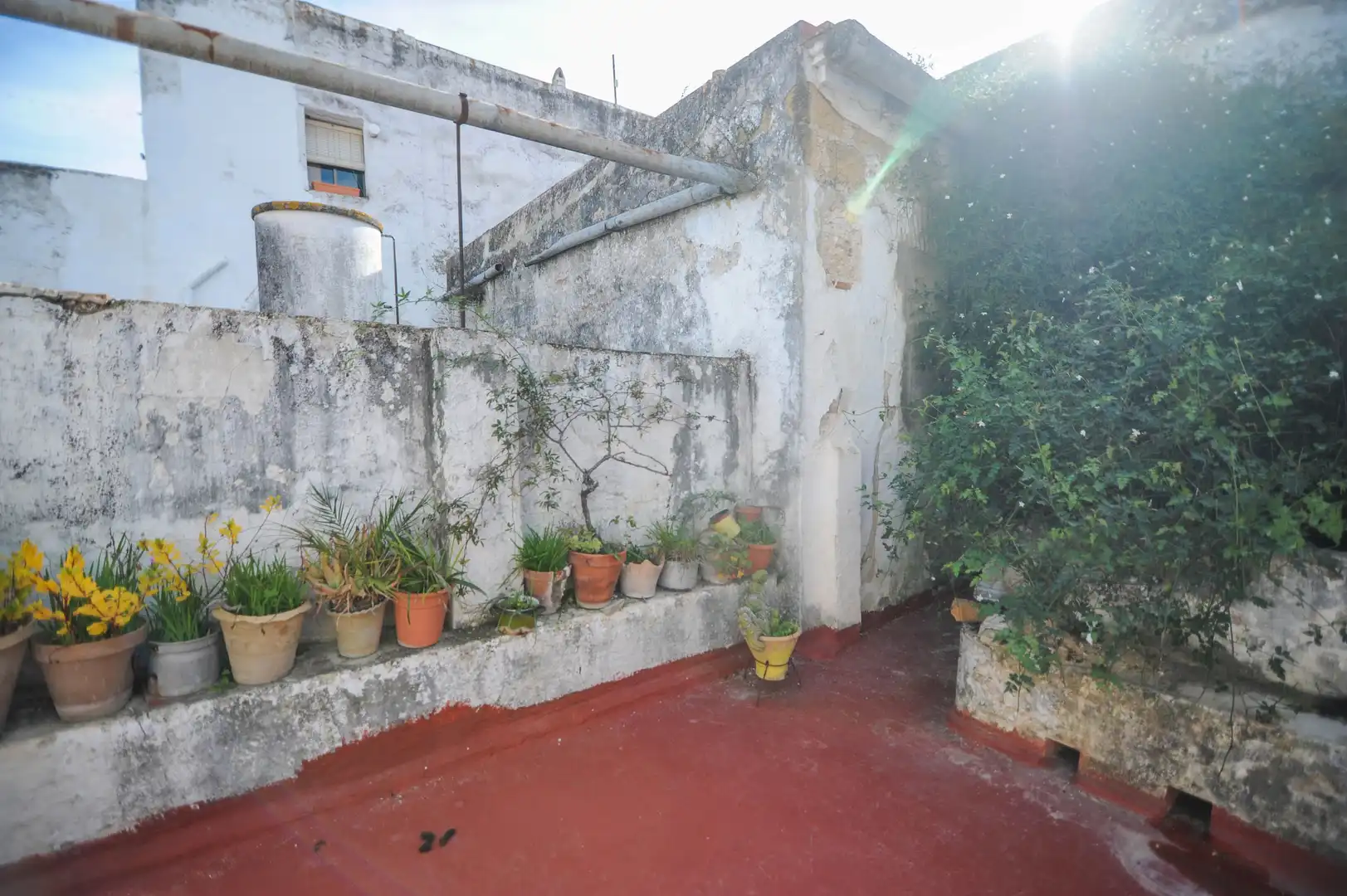 Jardí de Casa adosada en venda en Arcos de la Frontera