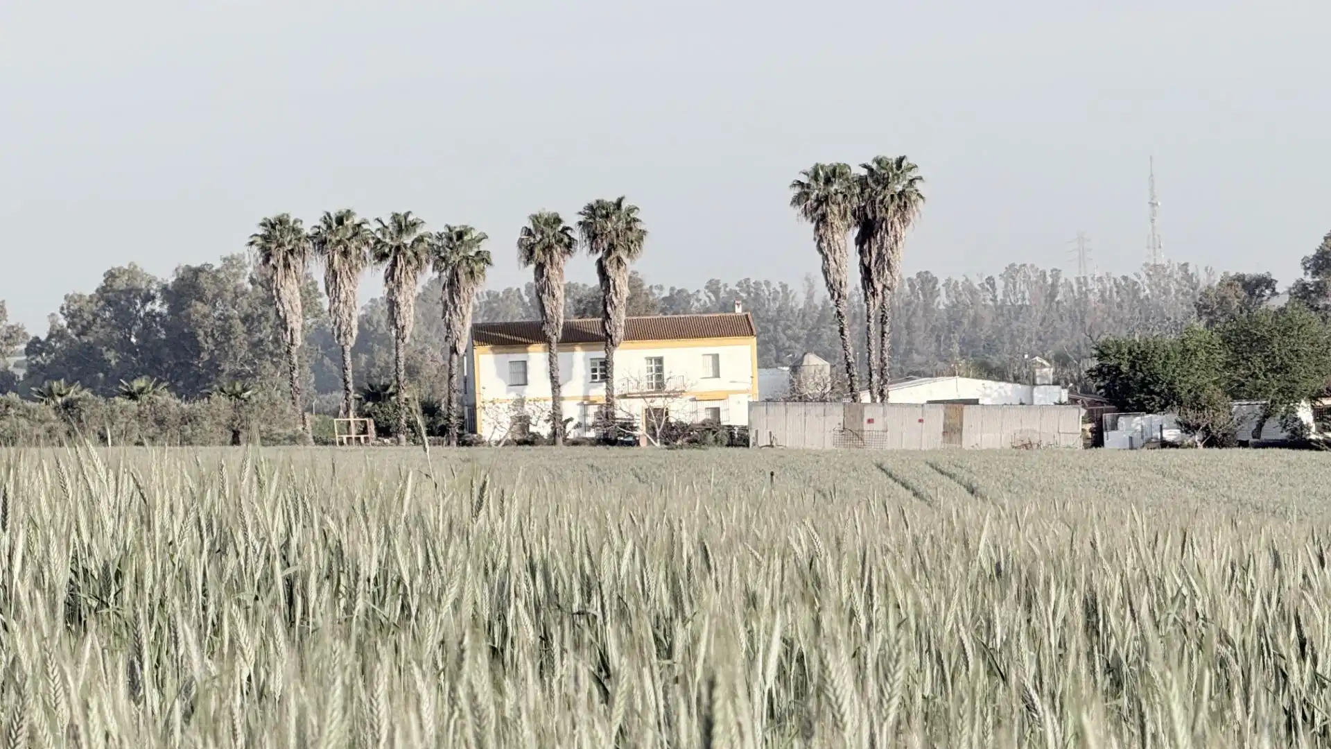 Casa rústica amb piscina en venda a La Orden, imagen 16