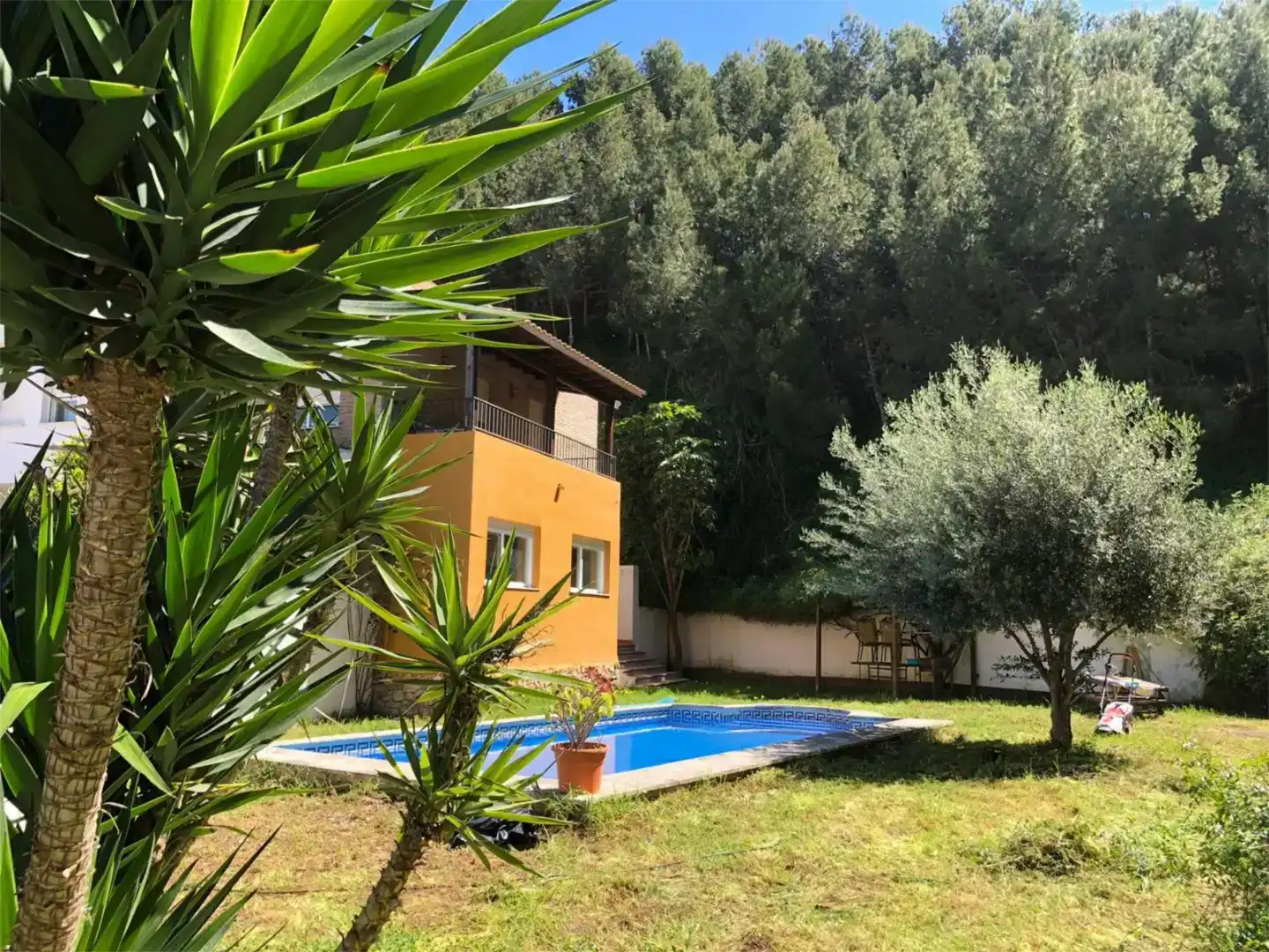 Garten von Einfamilien-Reihenhaus zur Miete in Almuñécar mit Schwimmbad