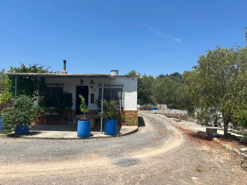 Vista exterior de Finca rústica en venta en Sot de Ferrer