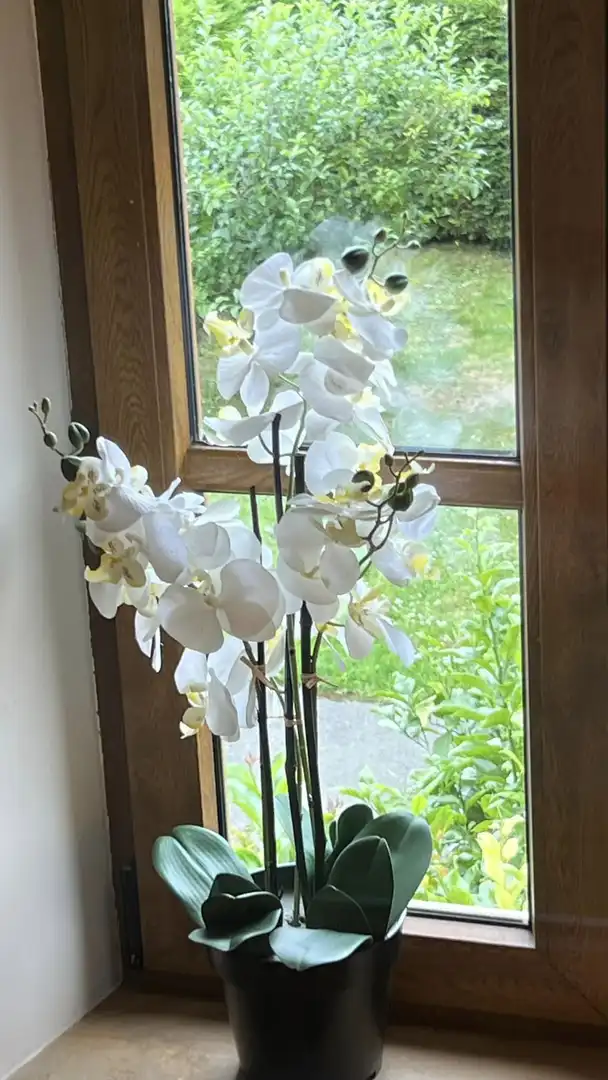 Haus oder Chalet zum Verkauf in Suances mit Heizung, Privatgarten und Parkett
