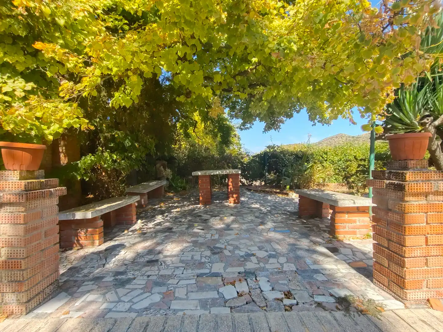 Garden of Country homes for sale in Priego de Córdoba  with Private garden, Terrace and Swimming Pool