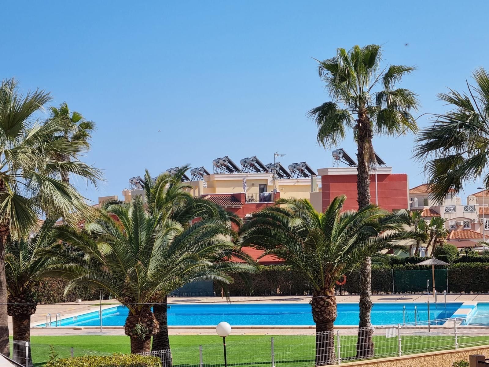 Exterior view of House or chalet to rent in Torrevieja  with Swimming Pool