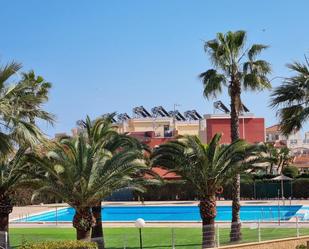 Vista exterior de Casa o xalet de lloguer en Torrevieja amb Piscina