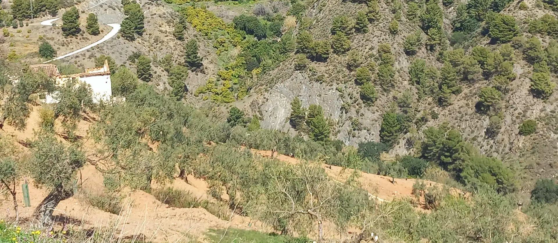 Casa rústica amb piscina en venda a Yunquera, imagen 31