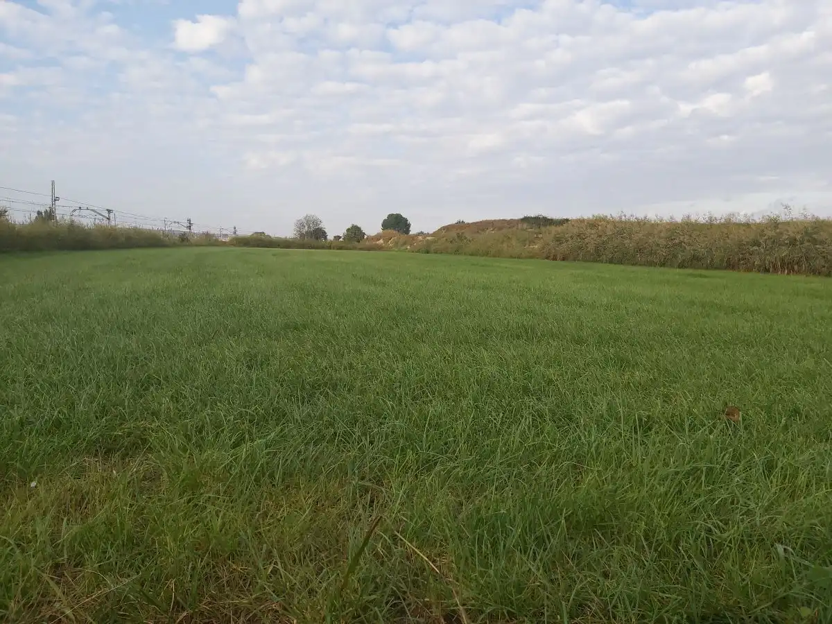 Finca Rúst. en venta en Puigverd De Lleida., imagen 2