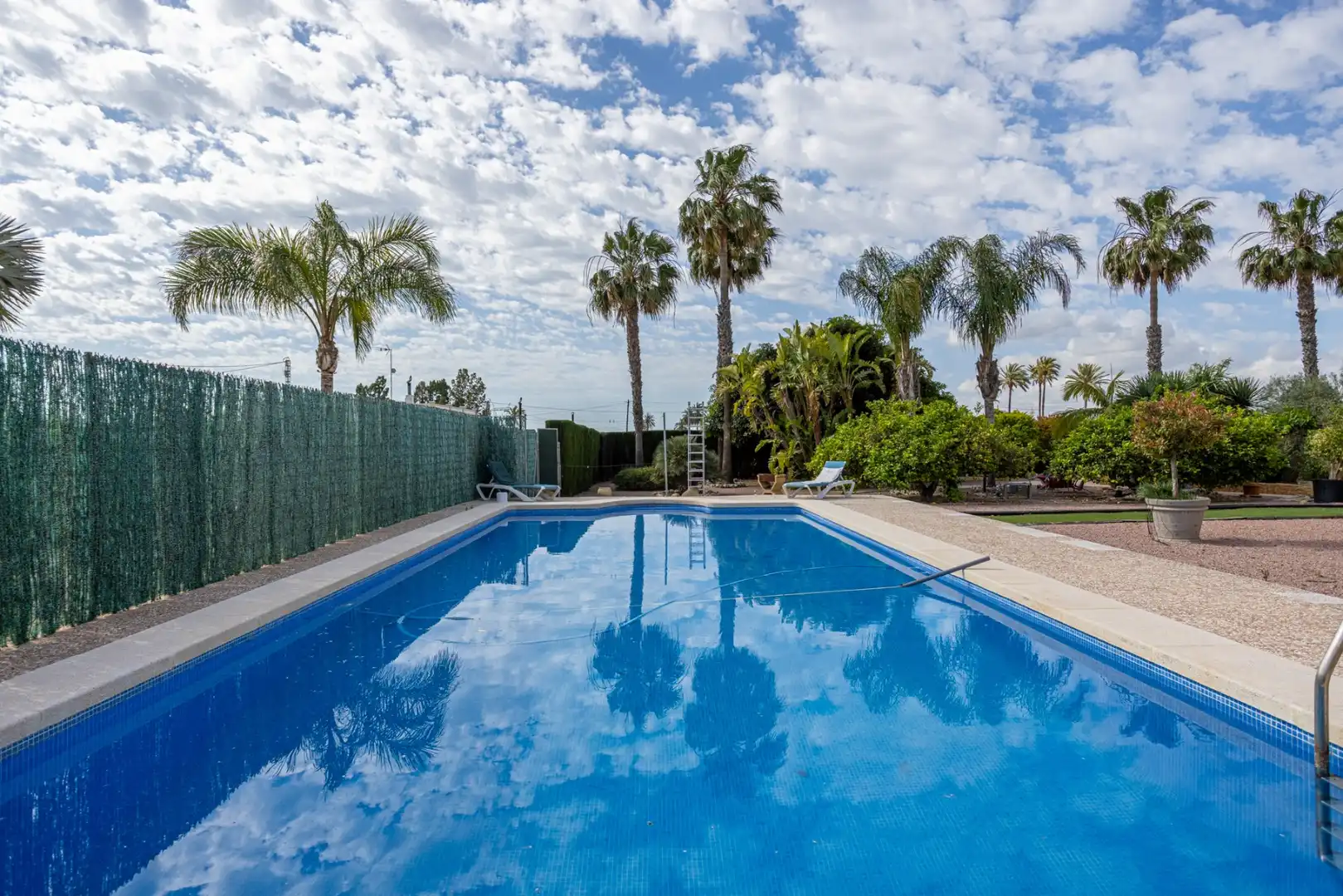 Swimming pool of Houses for sale in Elche / Elx  with Terrace, Storage room and Swimming Pool