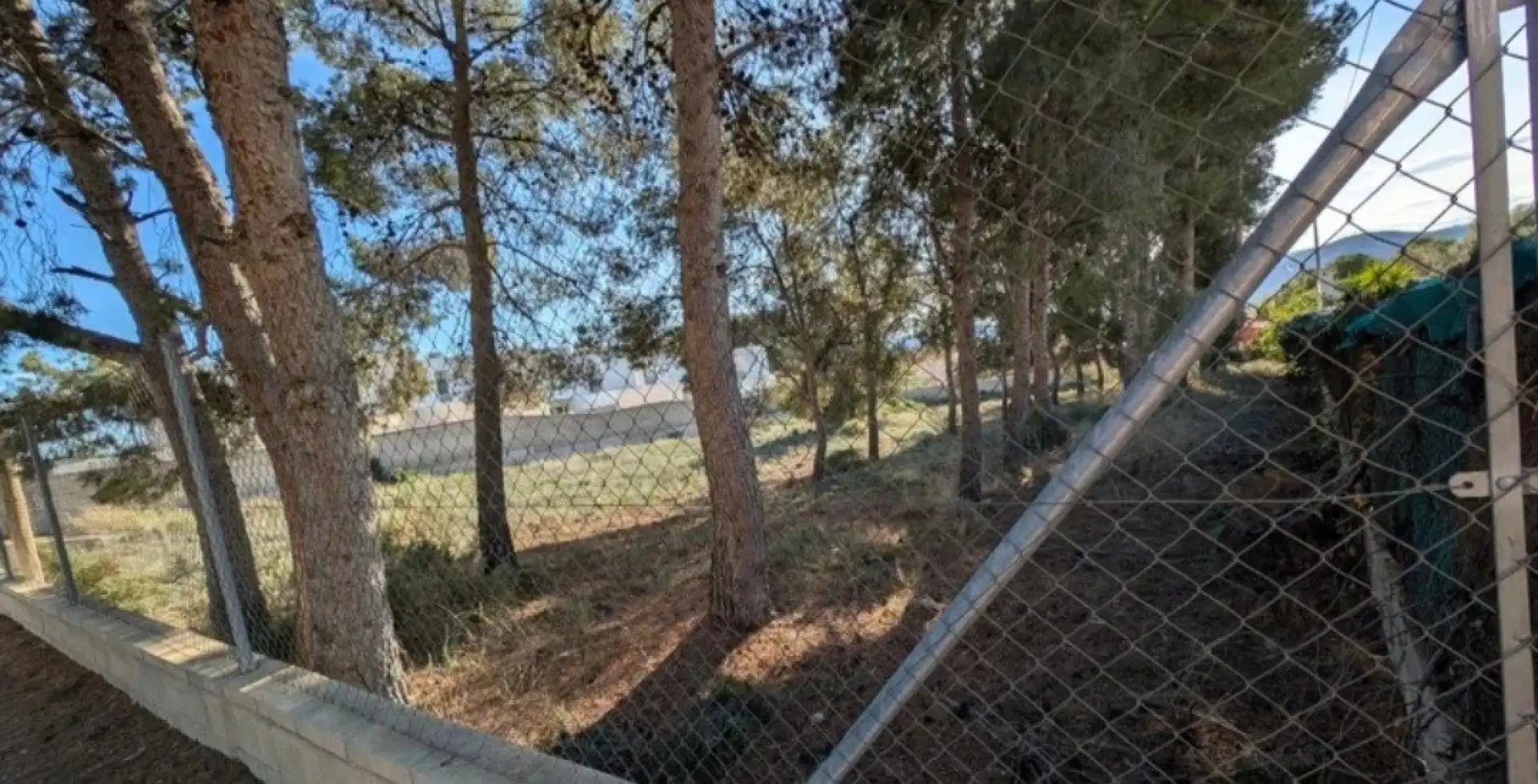 Terrenys i solars en venda a Petrer, imagen 4