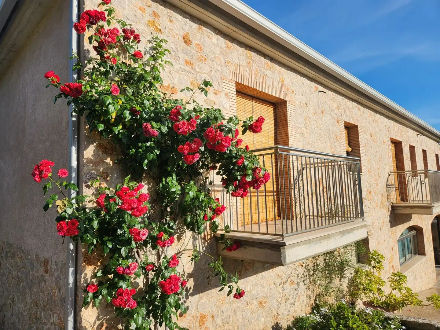 Vista exterior de Casa o chalet en venta en Vilajuïga con Aire acondicionado, Calefacción y Jardín privado