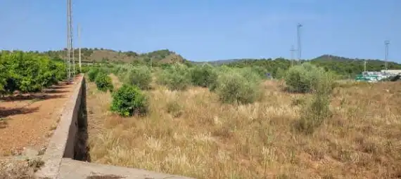 Rural land for sale in Pt Paraje Bolavar, imagen 13