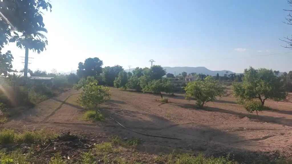 Casa o xalet en venda en Elche / Elx amb Terrassa i Traster