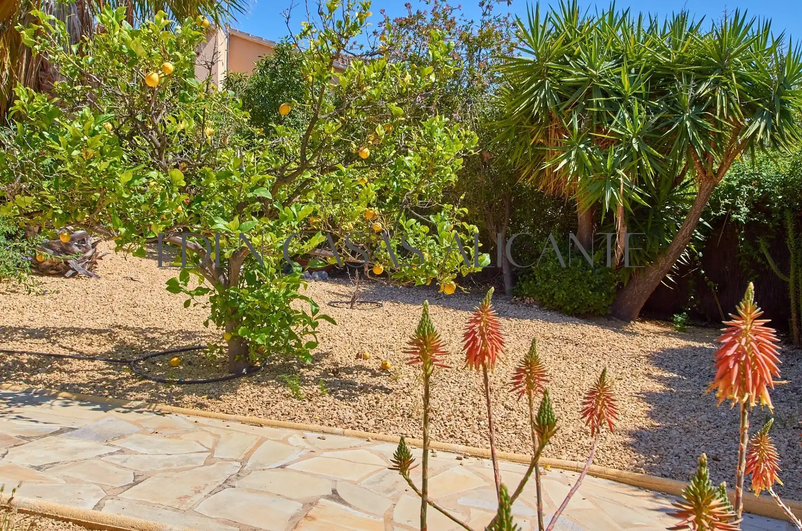 Jardín de Casa o chalet en venta en Busot con Aire acondicionado, Calefacción y Jardín privado