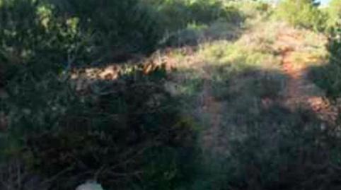 Photo 4 of Residential for sale in Calle Mieres, 30, Centro ciudad, Alicante