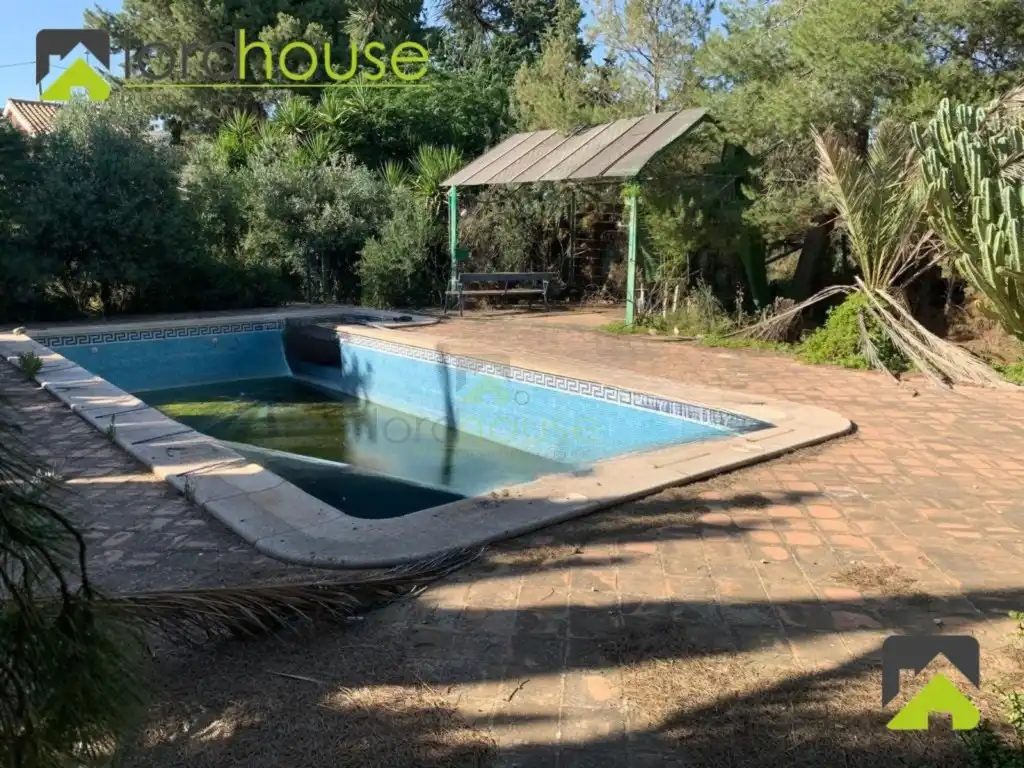 Swimming pool of Country homes for sale in Lorca