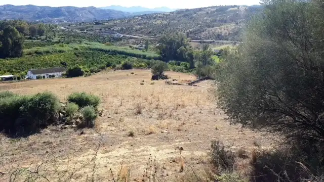 Terreni e lotti in vendita a Avenida de San Roque, imagen 29