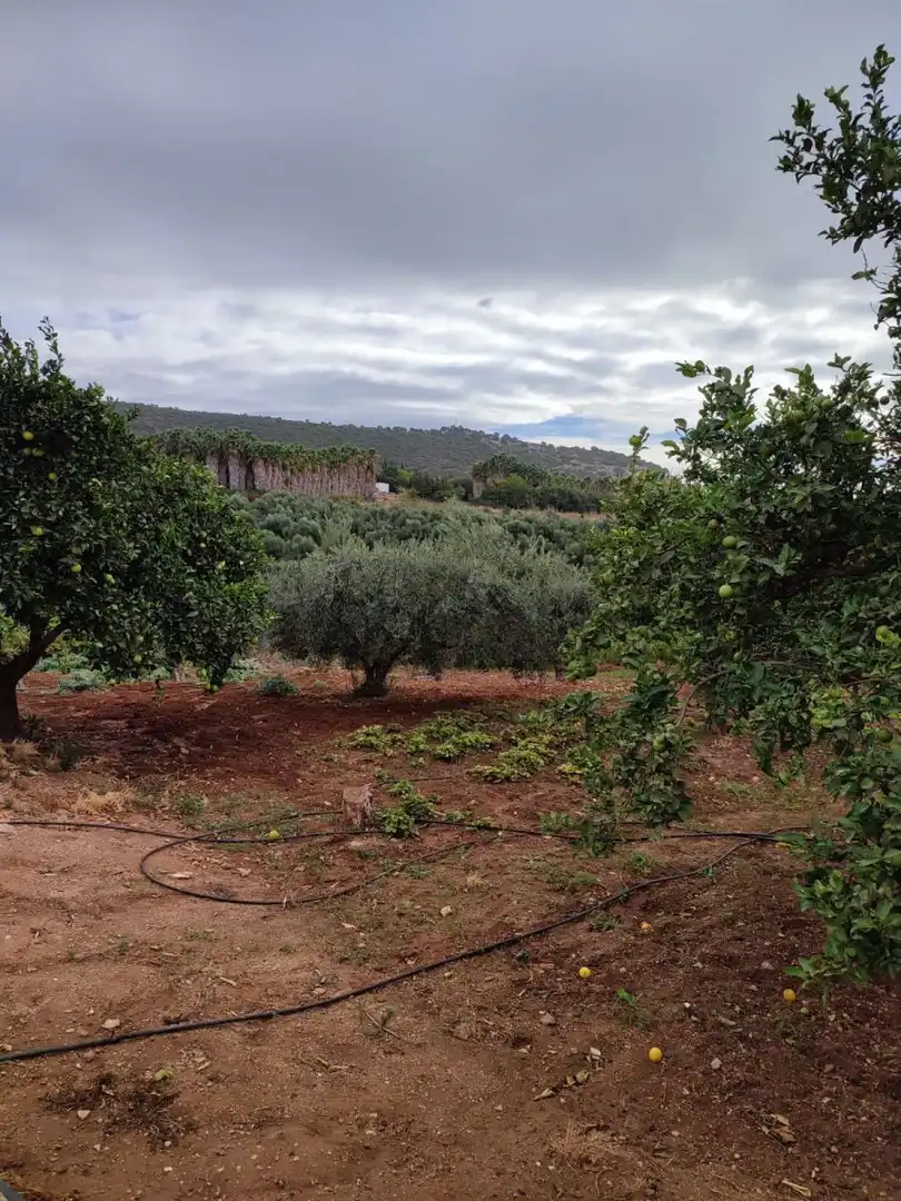 Casa rústica en venda a Arcos de la Frontera, imagen 6