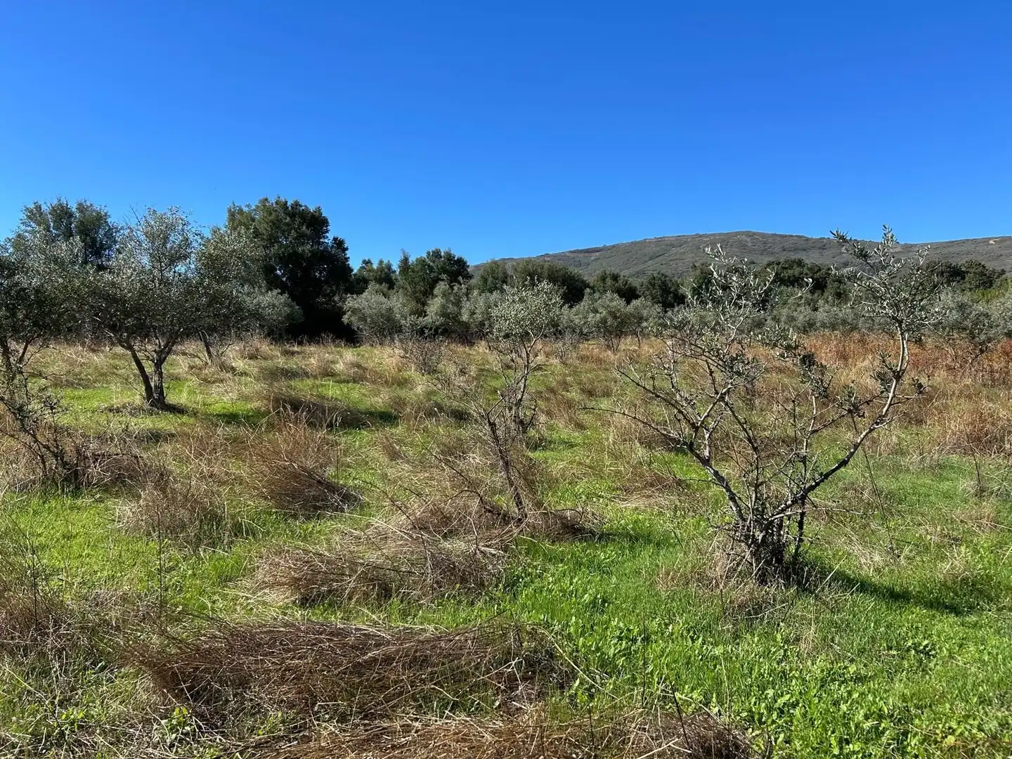 Terreni e lotti in vendita a Hoyos, imagen 7