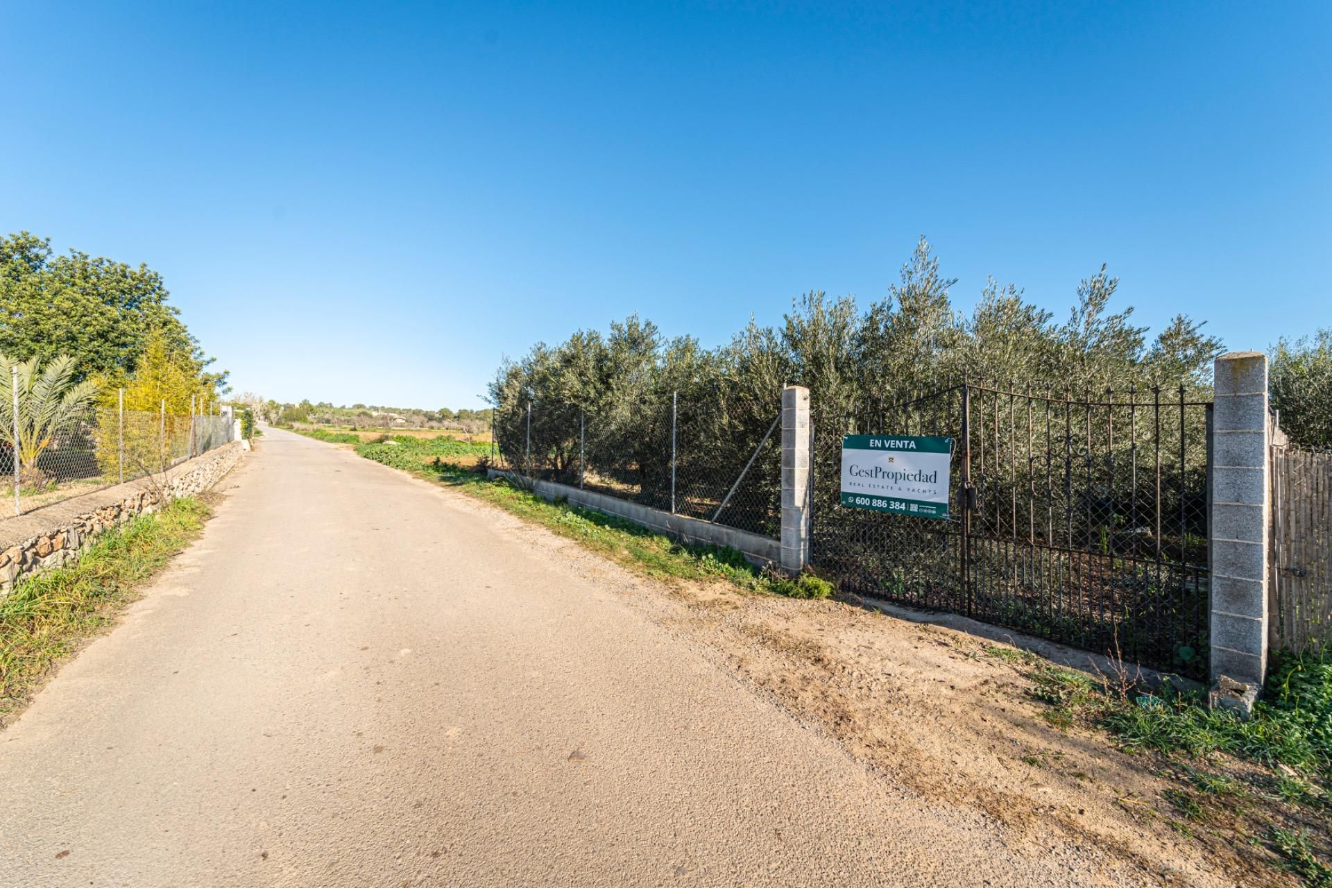 Grundstücke zum verkauf in Porreres