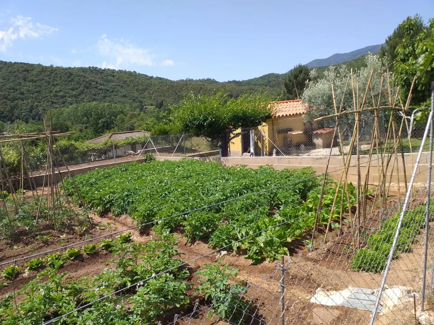 Villa mit Garten zum Verkauf in Sant Feliu de Buixalleu, imagen 22