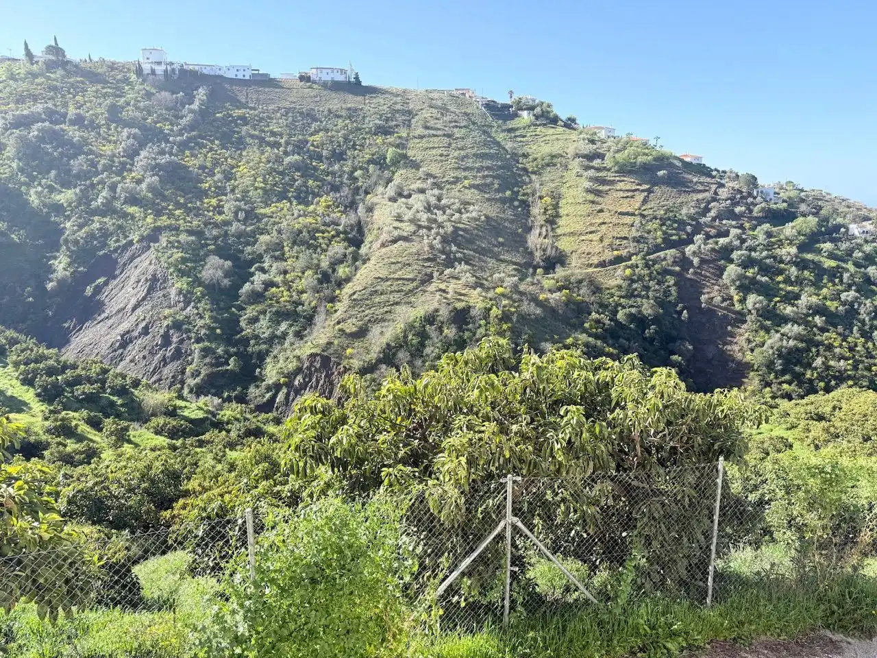 Land for sale in Canillas de Albaida