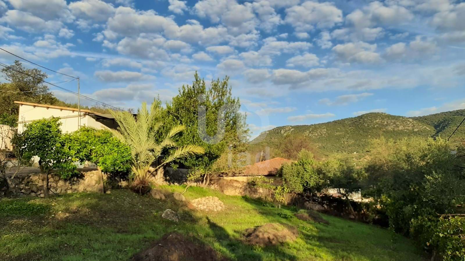Jardí de Casa o xalet en venda en Benaocaz