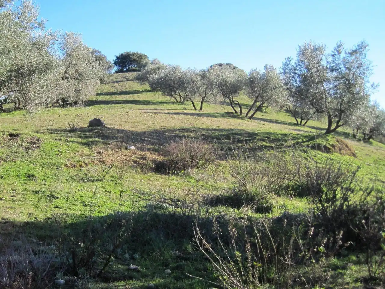 Terreni e lotti in vendita a A-7202, imagen 3