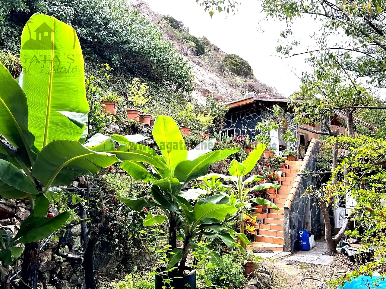 Vista exterior de Finca rústica en venta en Vallehermoso con Aire acondicionado, Calefacción y Jardín privado