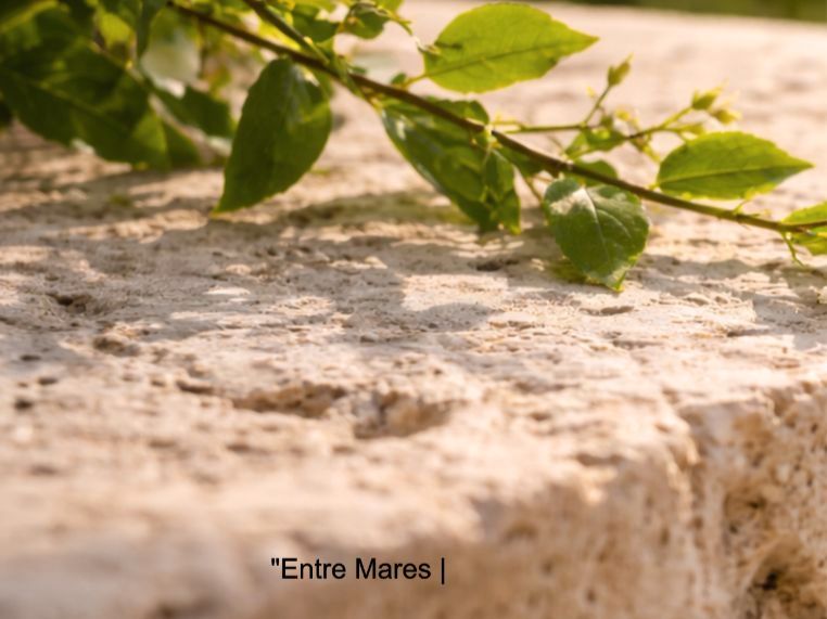 Exterior view of Residential for sale in  Cádiz Capital