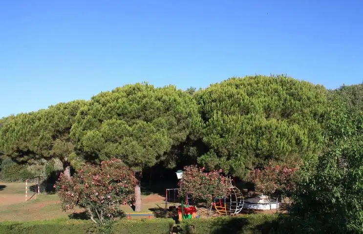 Jardí de Casa adosada de lloguer en Estepona amb Aire condicionat, Terrassa i Moblat