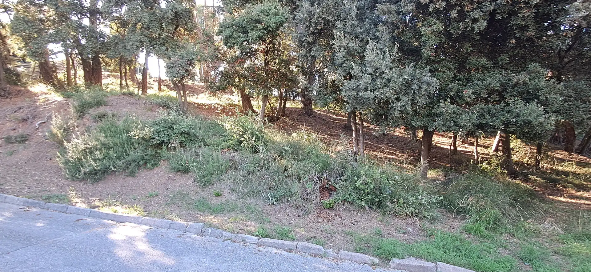 Wohnbaugrundstück zum Verkauf in Carrer de l'Oriol 12