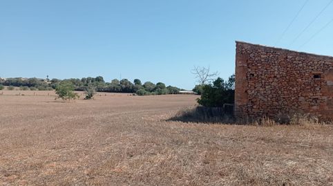 FINCA RÚSTICA CON LICENCIA EN TRÁMITE