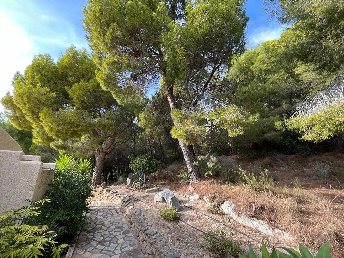 Jardín de Casa o chalet en venta en Altea la Vella
