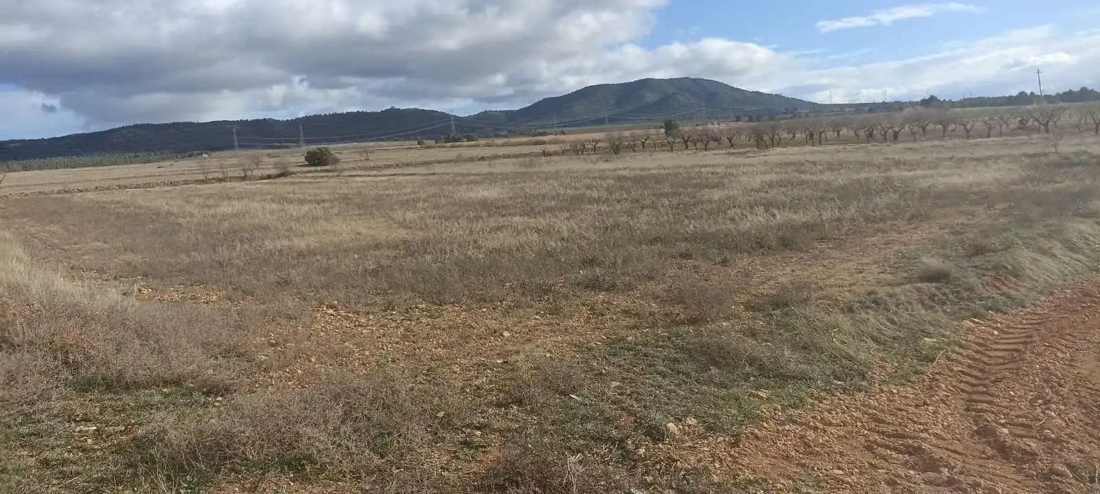 Terreny rústic en venda a Ayora, imagen 15