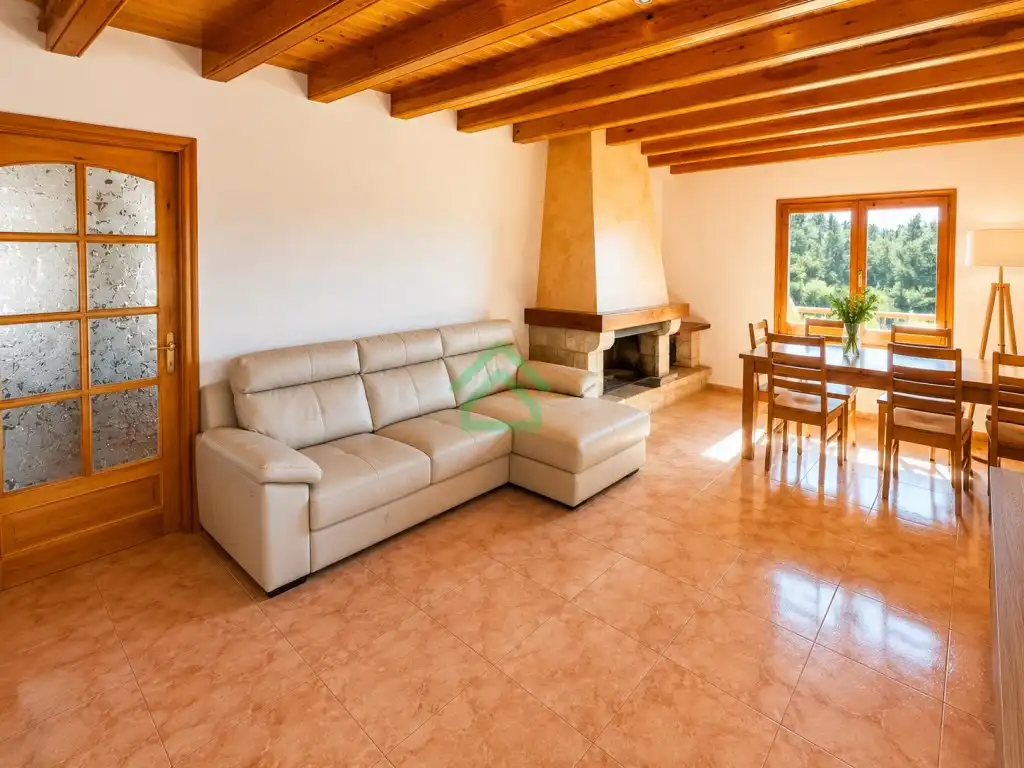 Sala d'estar de Casa o xalet en venda en La Coma i la Pedra